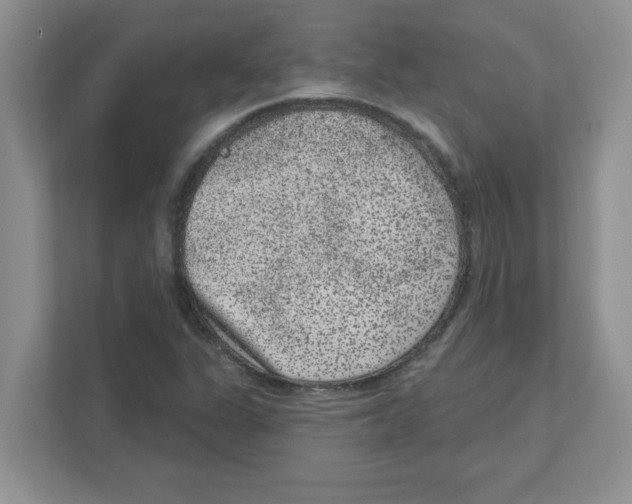 X0000111051311200907231548