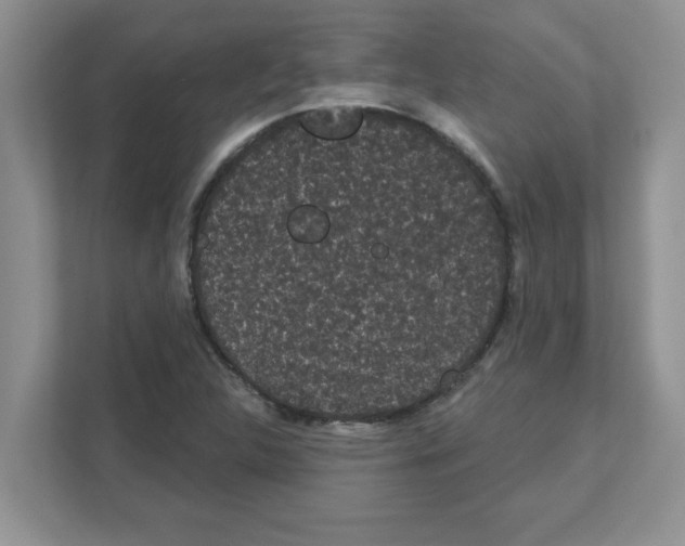 X0000111051312200907231548