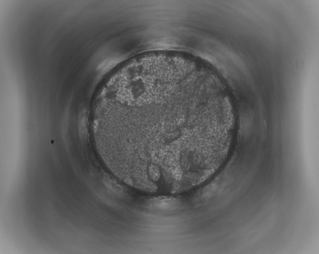 X0000111051314200907231548