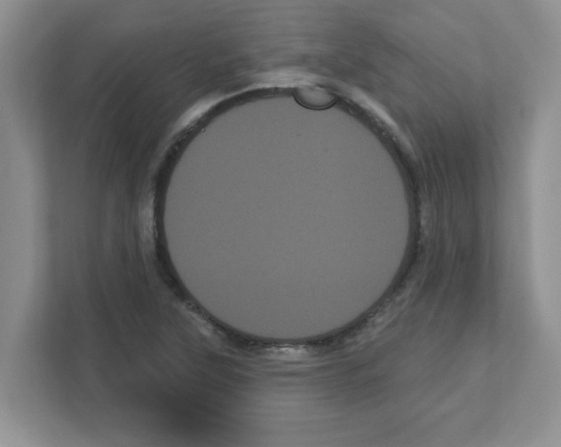 X0000111051315200907231548