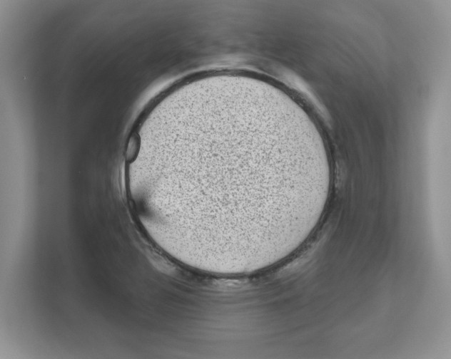 X0000111051320200907231548