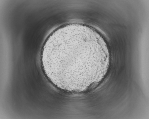 X0000111051325200907231548