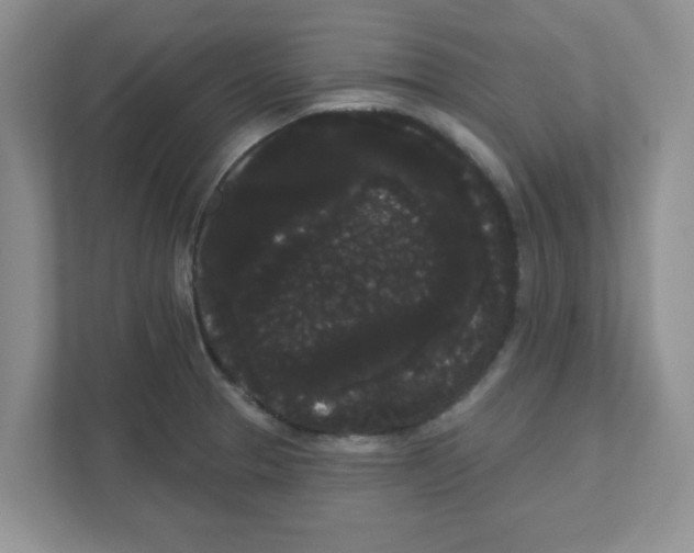 X0000111051329200907231548