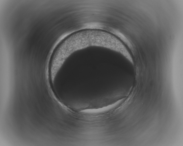 X0000111051331200907231548