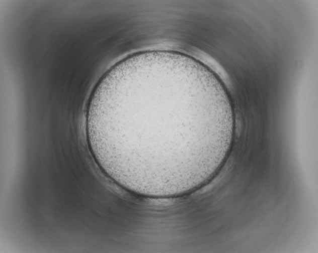 X0000111051332200907231548