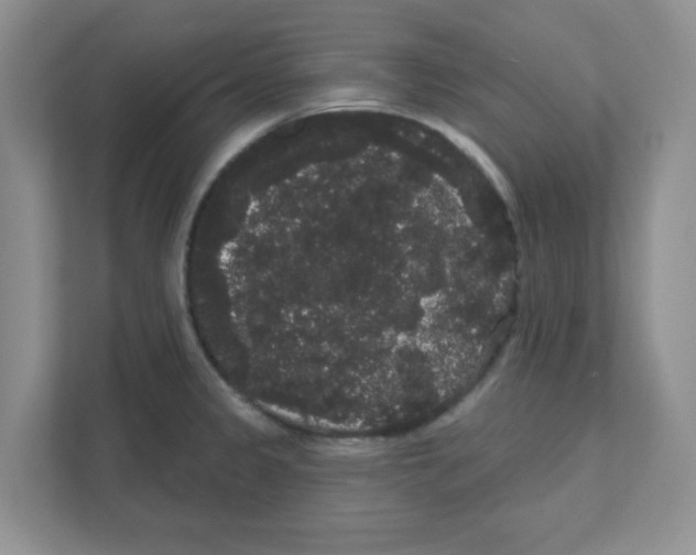 X0000111051333200907231548