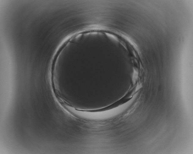 X0000111051334200907231548