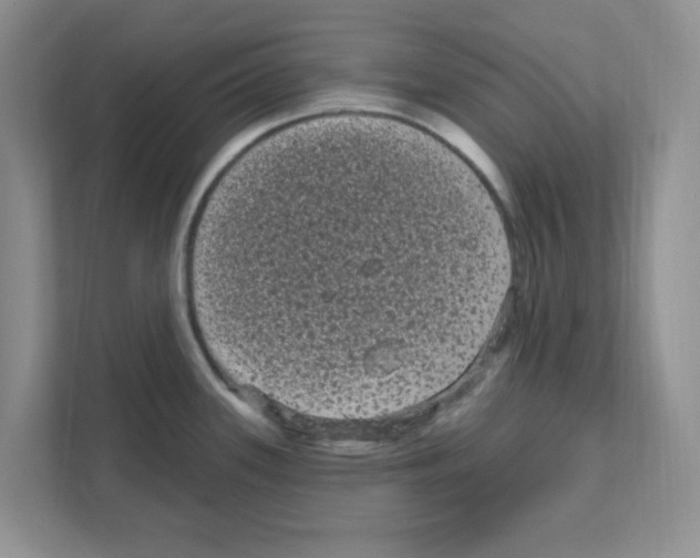 X0000111051339200907231548