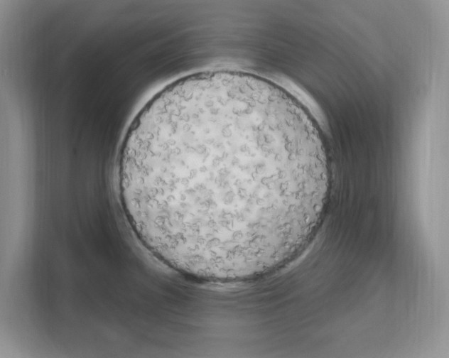 X0000111051340200907231548