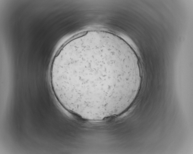 X0000111051344200907231548