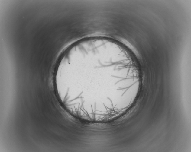 X0000111051356200907231547