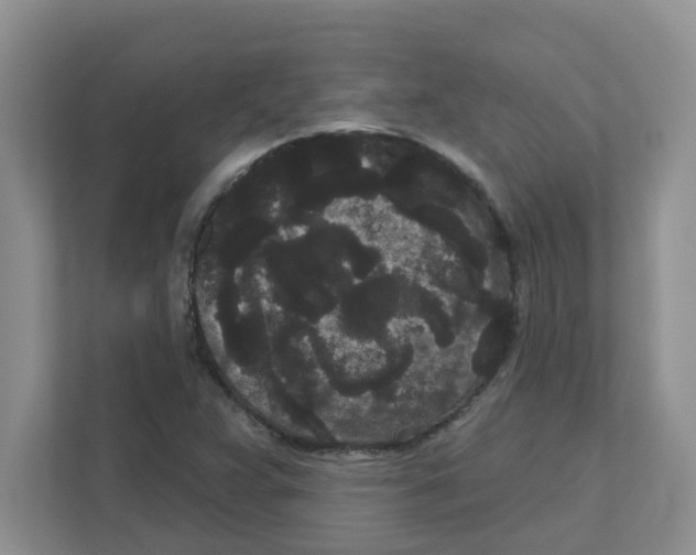 X0000111051359200907231547