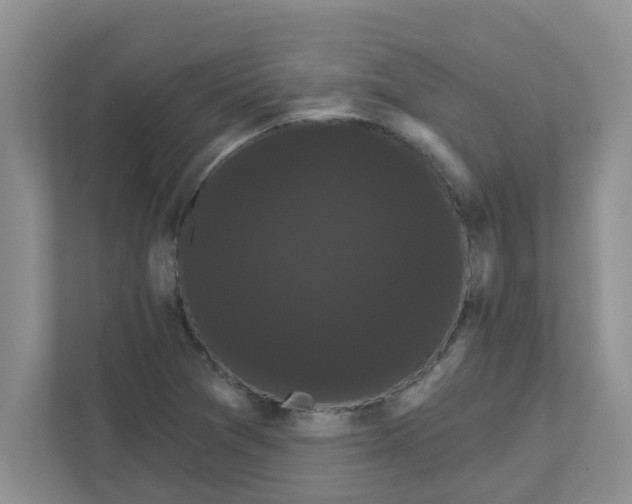 X0000111051361200907231547