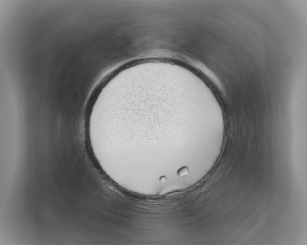 X0000111051364200907231547