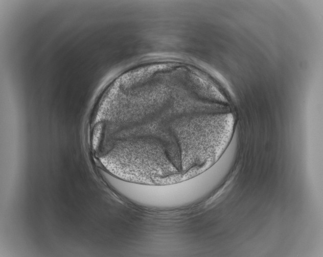 X0000111051365200907231547