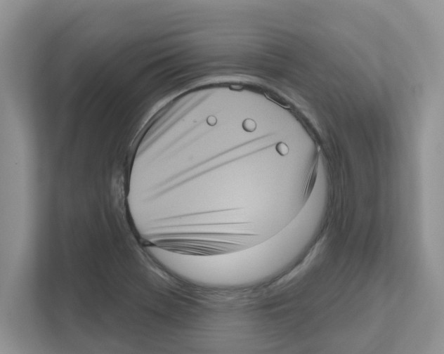 X0000111051369200907231547