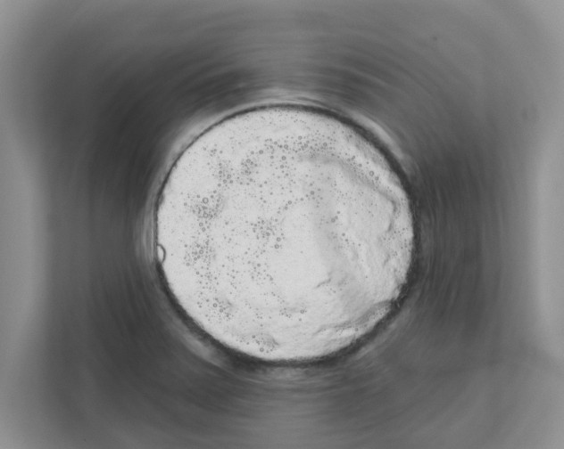 X0000111051371200907231547