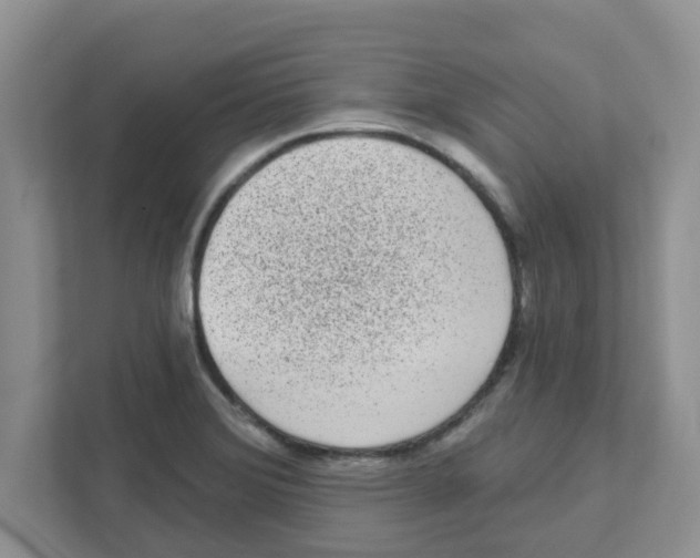 X0000111051372200907231547