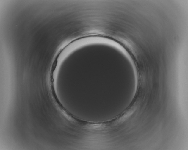 X0000111051373200907231547