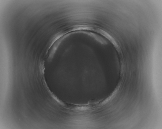 X0000111051377200907231547