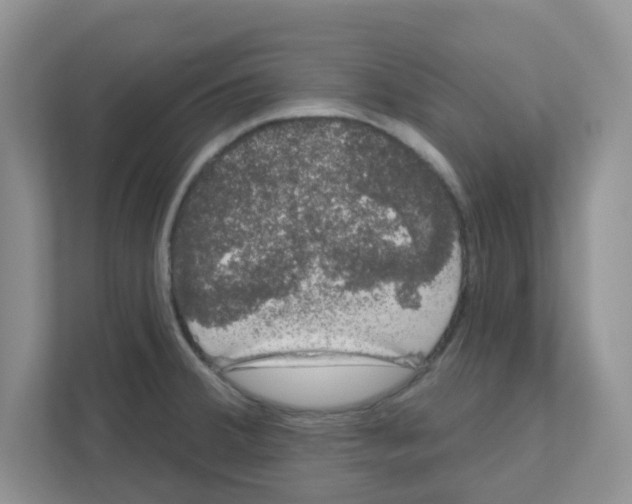 X0000111051380200907231547