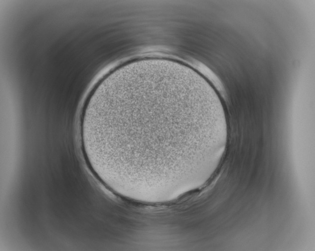 X0000111051384200907231547