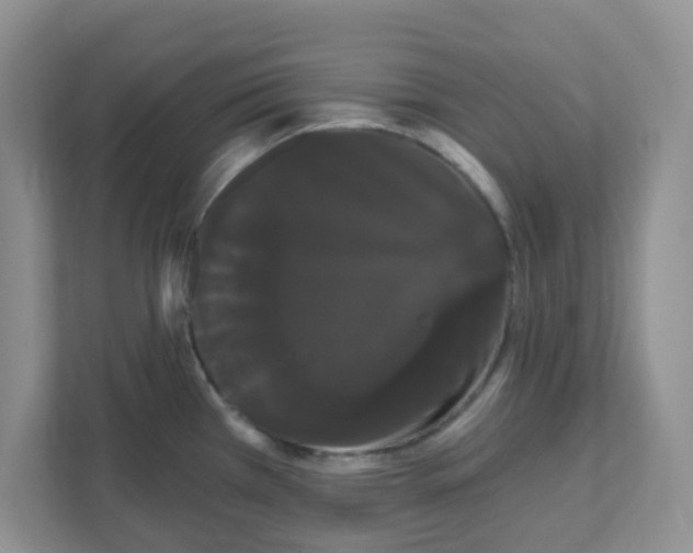 X0000111051385200907231547