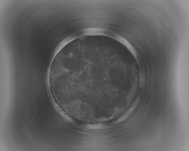 X0000111051386200907231547