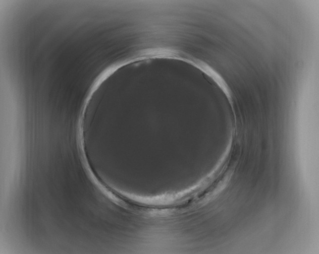 X0000111051389200907231547