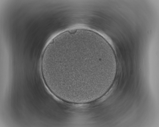 X0000111051390200907231547