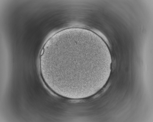 X0000111051391200907231547