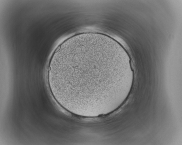 X0000111051392200907231547