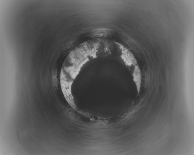 X0000111051394200907231546