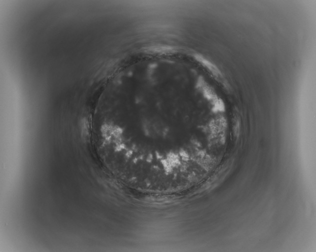 X0000111051397200907231546