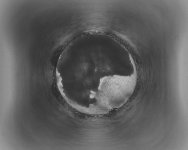 X0000111051399200907231546