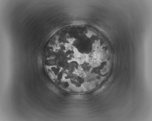 X0000111051401200907231546