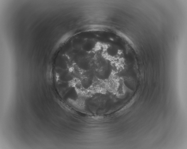 X0000111051403200907231546