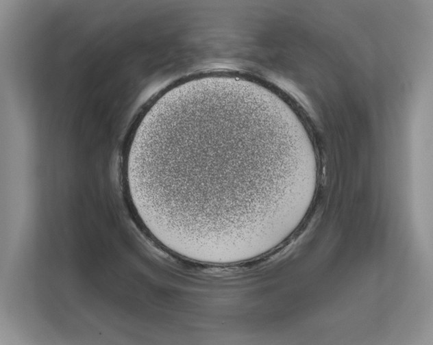 X0000111051404200907231546