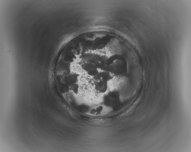 X0000111051405200907231546