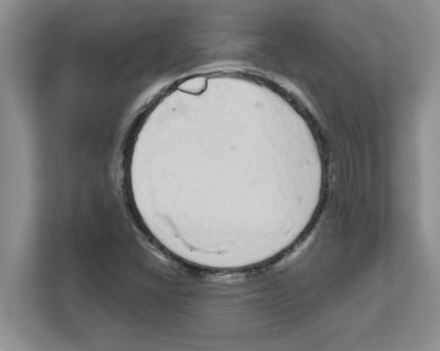 X0000111051406200907231546