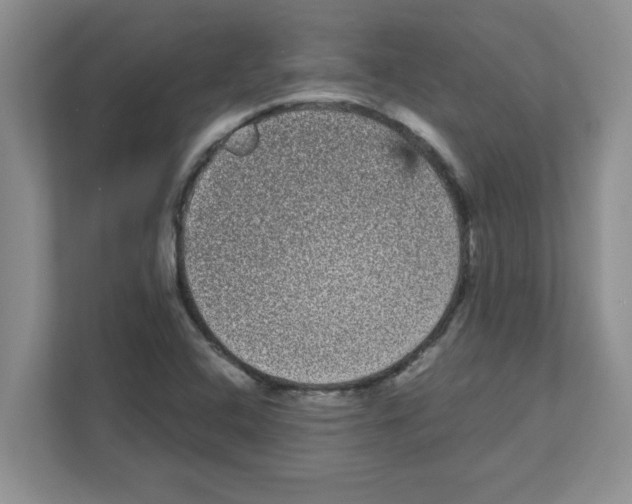 X0000111051408200907231546