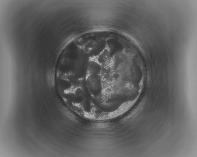 X0000111051409200907231546