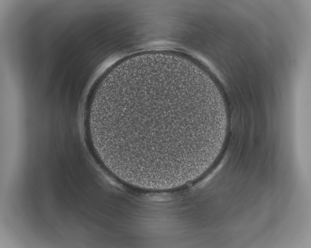 X0000111051410200907231546