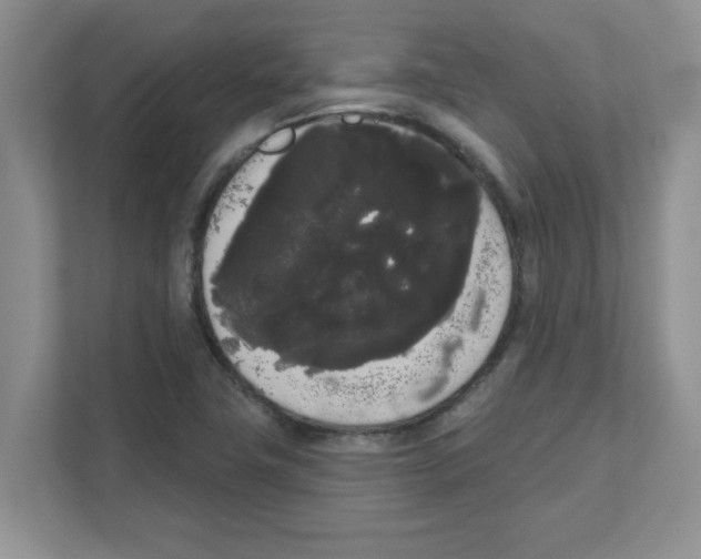 X0000111051411200907231546