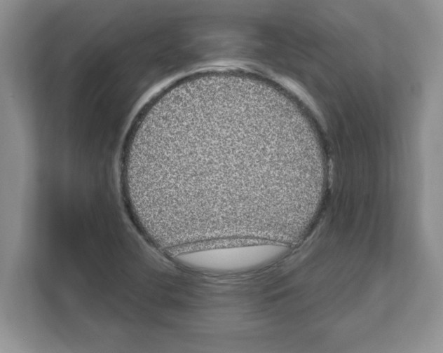 X0000111051412200907231546