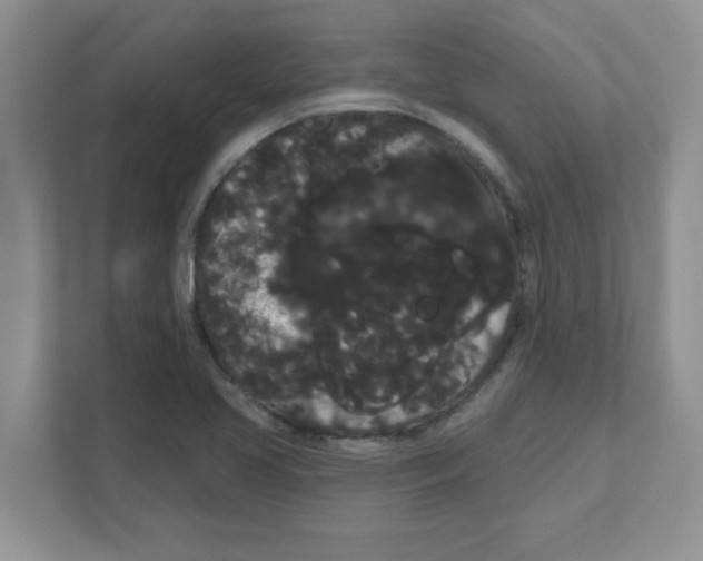 X0000111051413200907231546