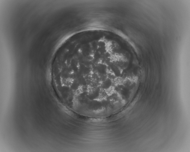 X0000111051415200907231546