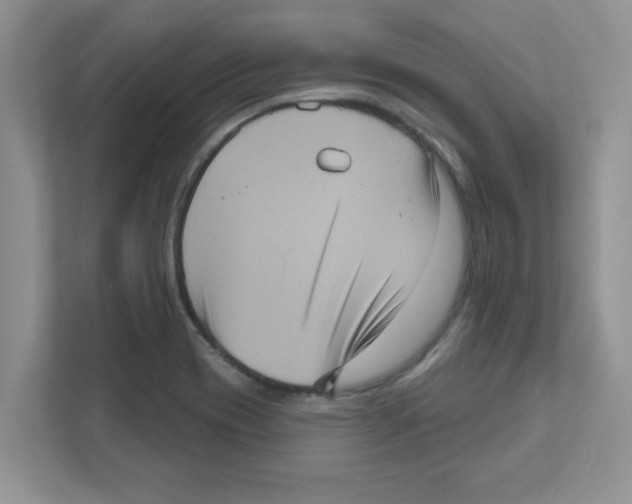 X0000111051417200907231546