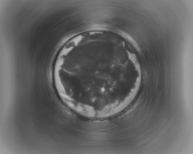 X0000111051419200907231546