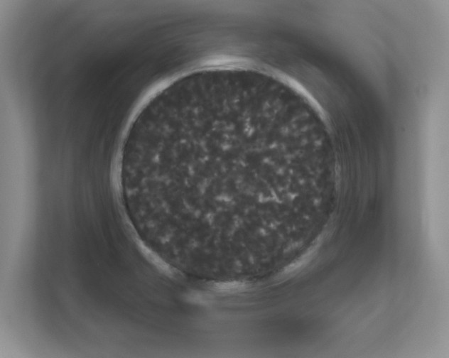 X0000111051421200907231546